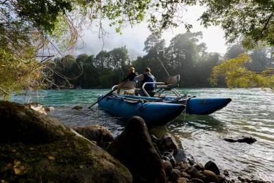 Martin Pescador Chile Martin Pescador Chile