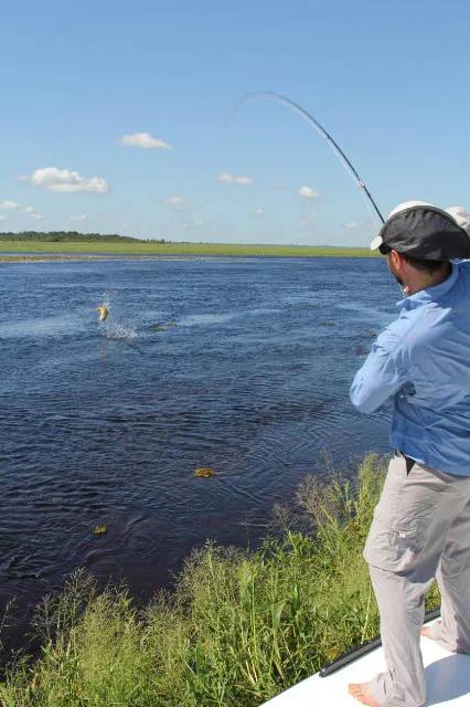 Argentina 2013 Fishing Trip Report: Patagonia Trout and Golden