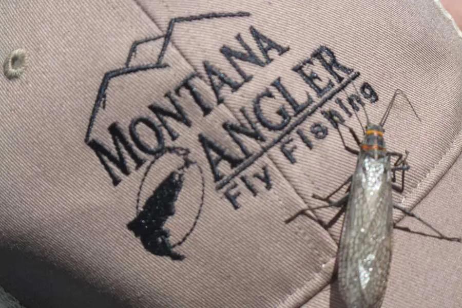 Flyfishing the Montana Salmon Fly Hatch - Game & Fish