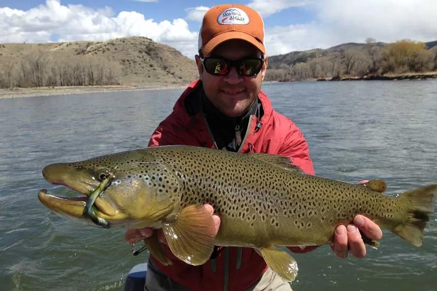 Trout fishing with a drowned fly, a technique that is always effective