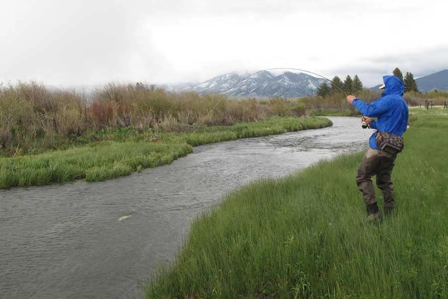 Hooks — Spring Creek Fly FIshing