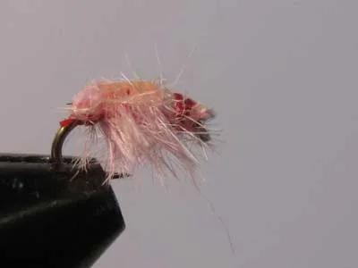 shrimp flies - Google Search  Fly fishing flies pattern, Homemade fishing  lures, Fly tying