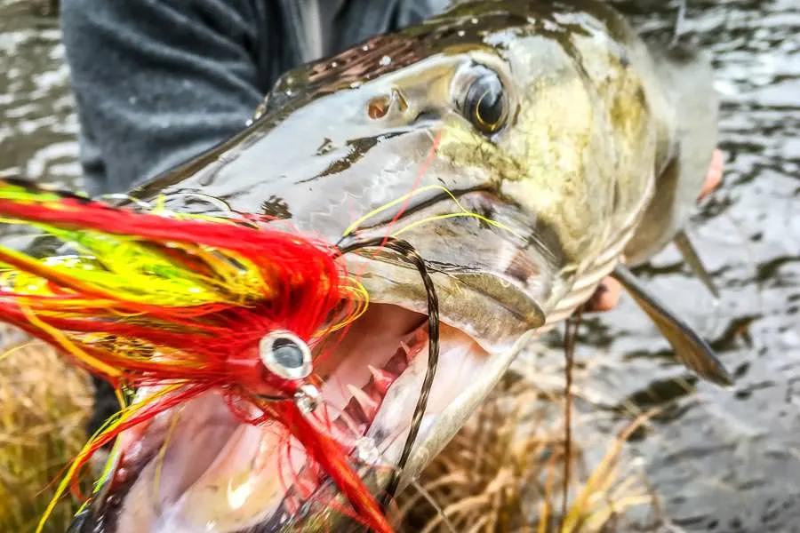 World's Top Muskie Flies - Fly Fisherman