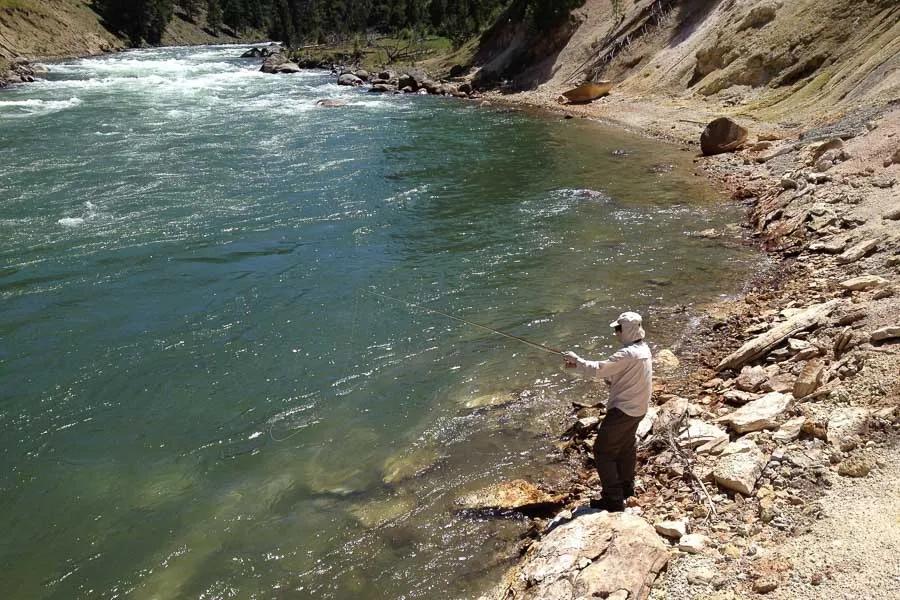 Yellowstone Backcountry Fly Fishing Trips