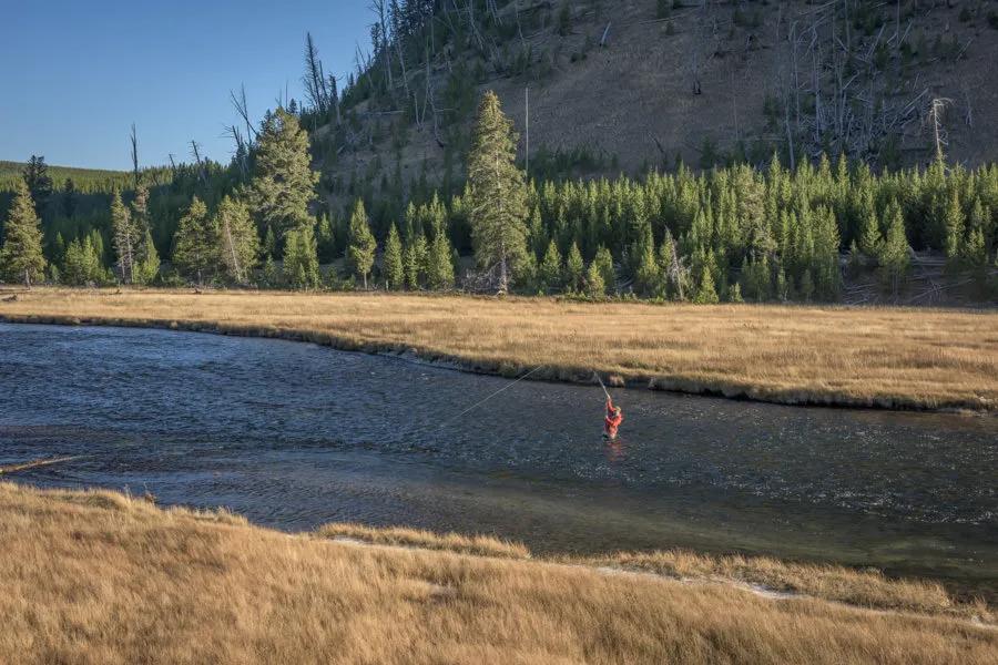 Fall Run Browns On The Madison River