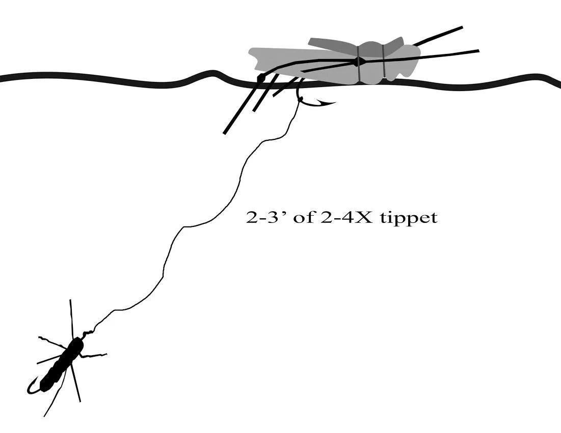 By tying the tippet of the second fly onto the hook or eye of the top/dry fly is the best way to fish two flies. 