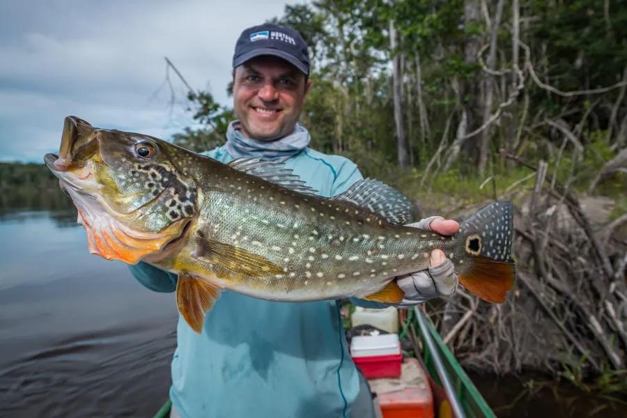 Peacock Bass Fishing, Freshwater Fly