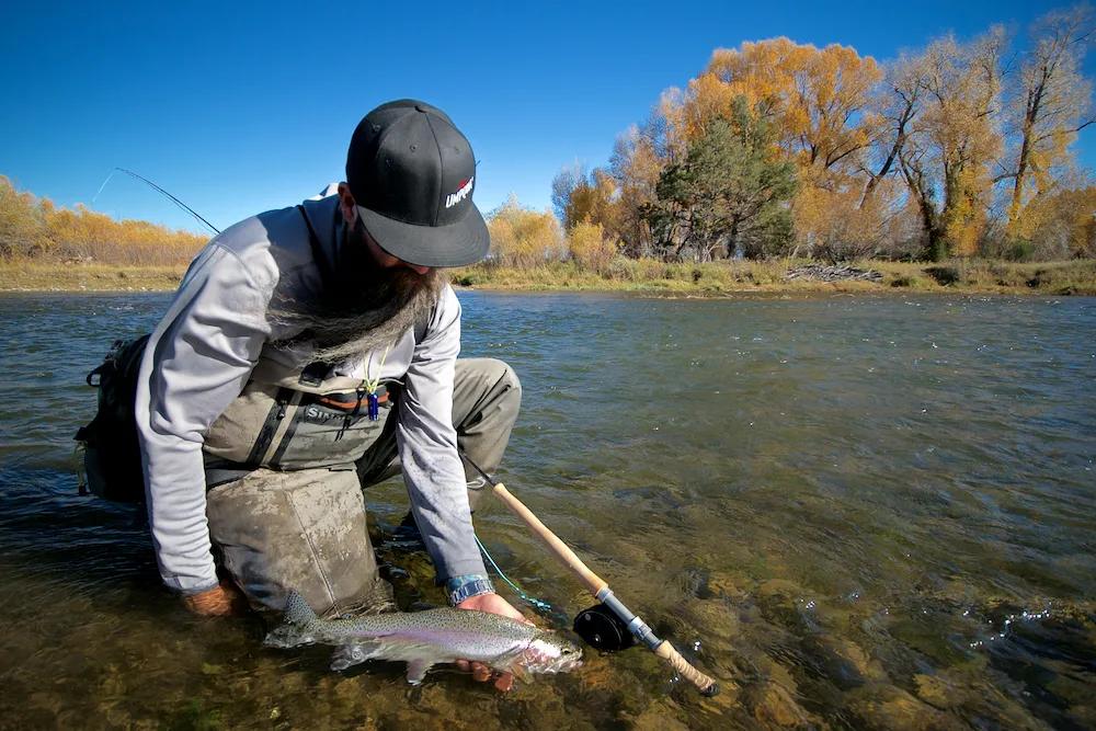 Favorite Trout Spey Flies for Montana | Montana Angler