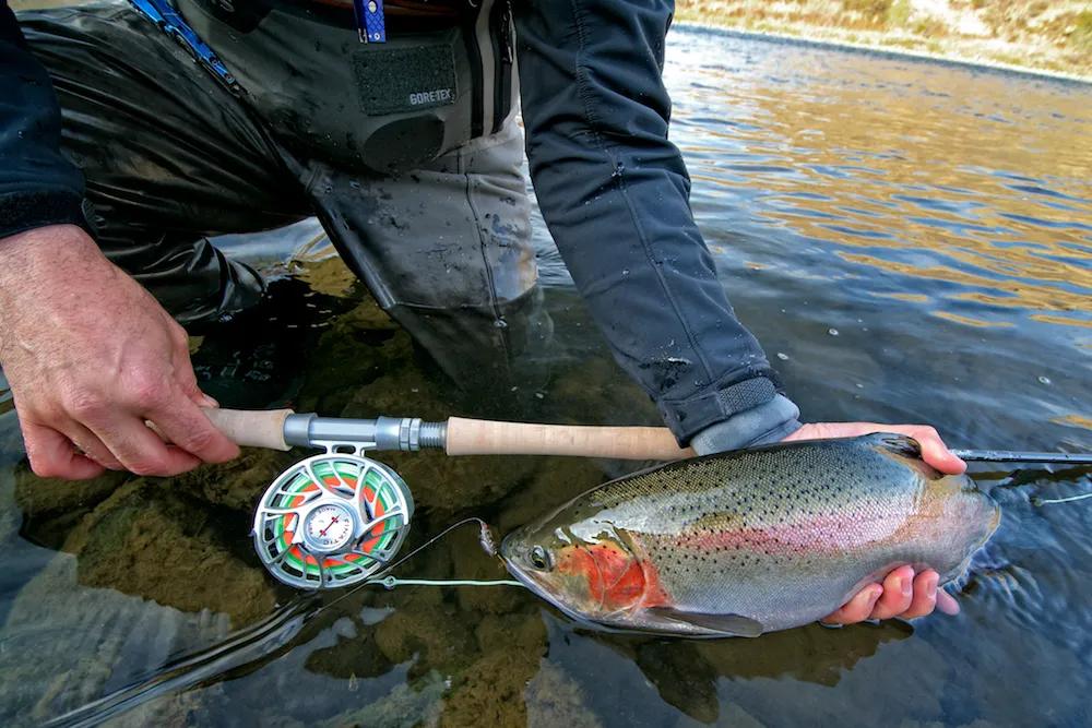 Krystal Flash - Guided Fly Fishing Madison River, Lodging