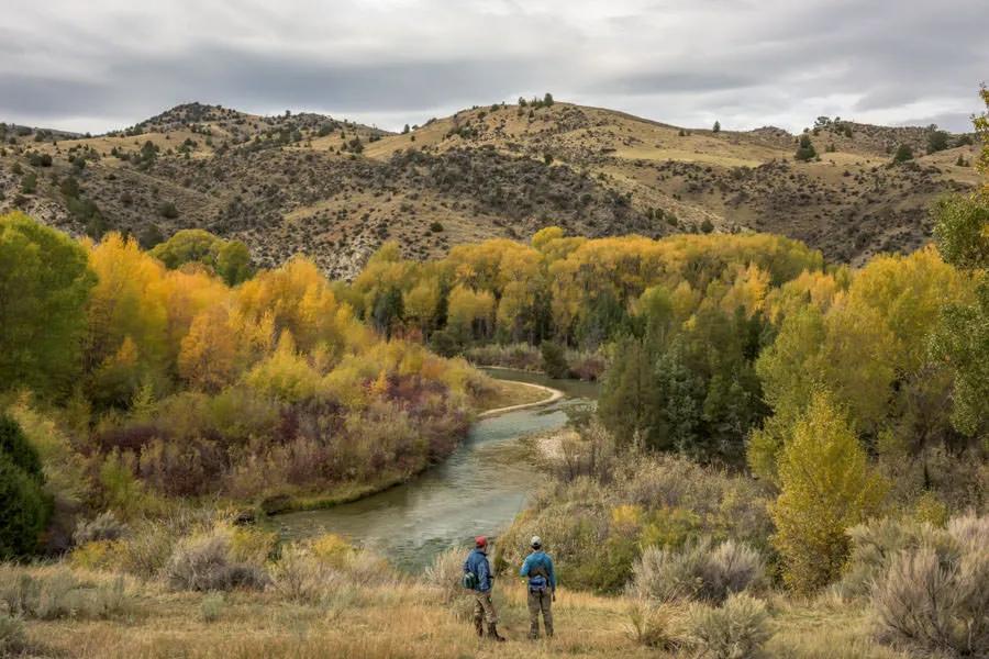 Ruby River Fly Fishing Guide & Trips