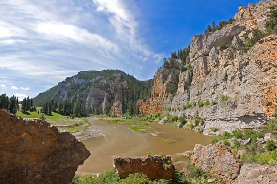 "The water clarity can counter act the lighting conditions, if you have a blue bird day with clear skies but stained water trout will be less wary and more active."