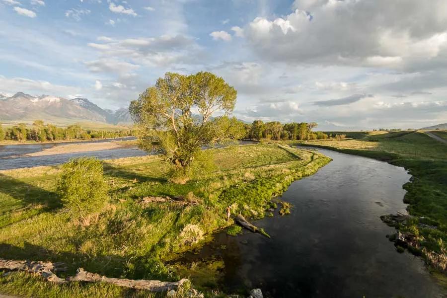 Fly Fishing Livingston MT  Top 10 Rivers To Fly Fish in Livingston