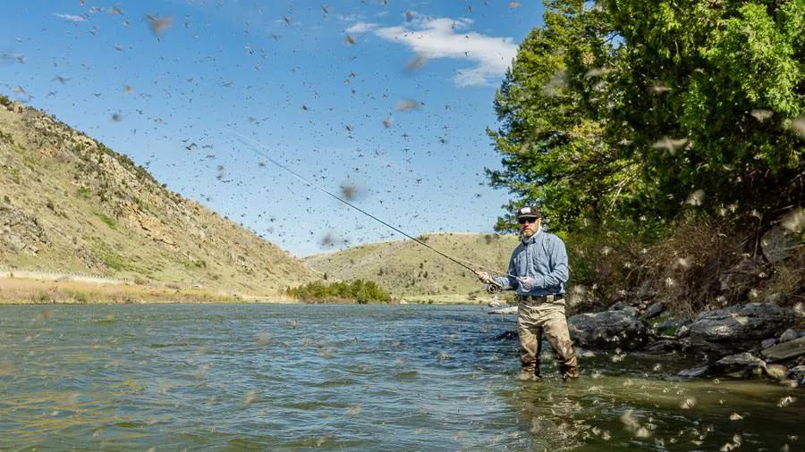 Daiichi 1850- Flat Eye - Guided Fly Fishing Madison River