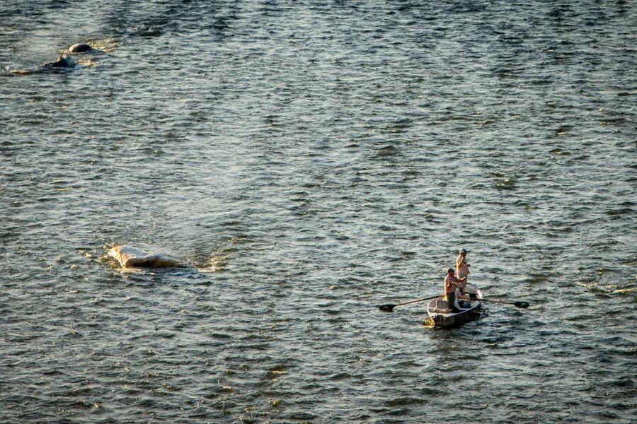 McKenize River drift boat on the Madison River McKenzie River drift boats are the classic vessels of Western trout streams. They are able to pivot quickly and provide a solid deck from which to cast.