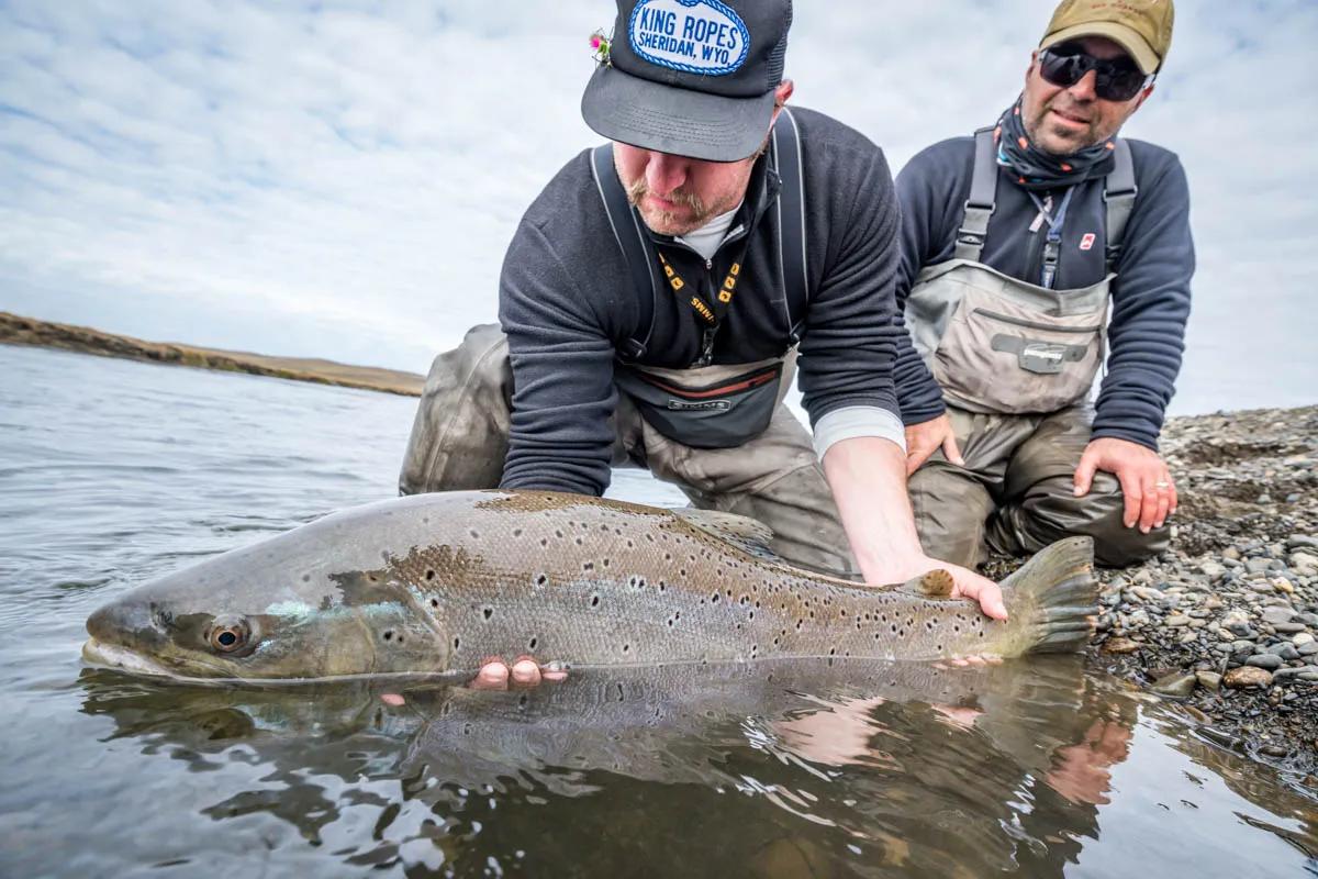 Tierra Del Fuego, Argentina Sea Run Brown Trout Trip Report: Kau