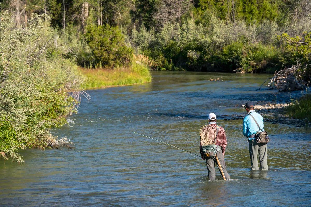 We made three great fly fishing match the hatch charts! Head over