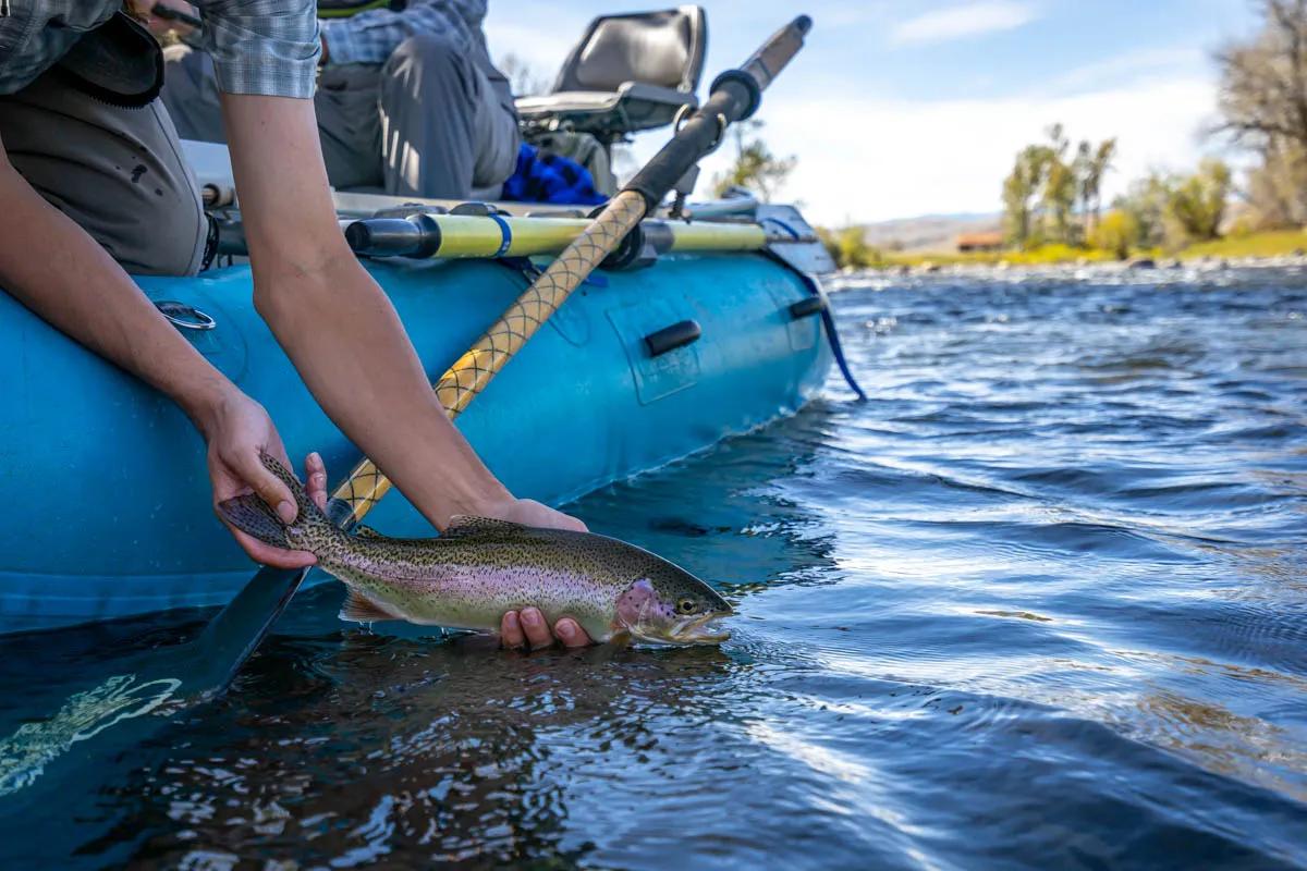 Where to Fly Fish for Trout in Rivers: Explore the Riffles