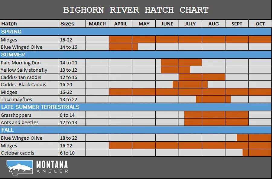 Grand River Hatch Chart - Fly Fishing - Ontario Fishing Forums