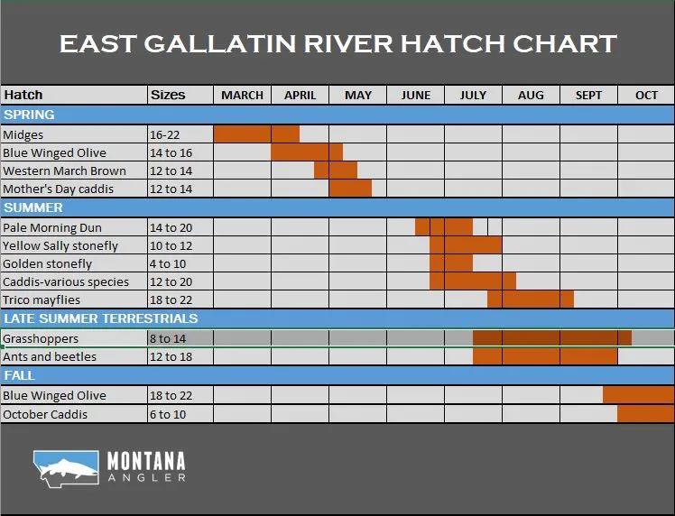 McKenzie River Hatch Chart