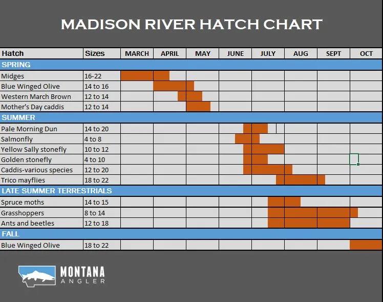 Complete Hatch Chart for pine creek - Big Meadows Fly Shop