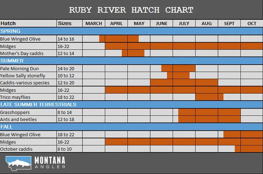 Hatch Charts for UK Rivers & Stillwaters