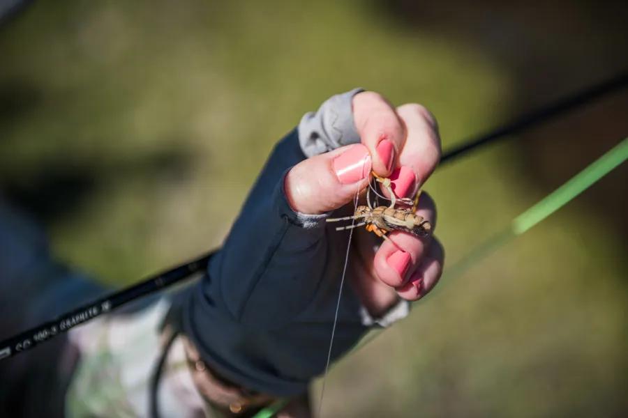 Try hoppers of different sizes and colors. Trout sometimes get a bit selective when hoppers are in abundance.