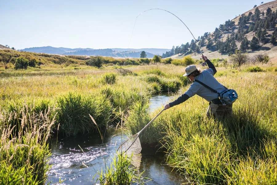 Montana Test.com - Results for: Wild Water Fly Fishing Rods! First