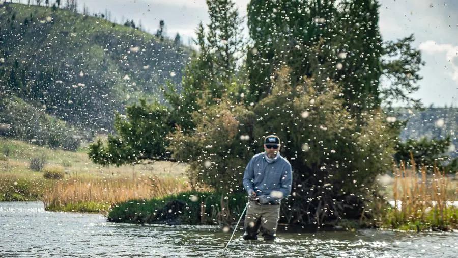 When is the Best Time to Fly Fish in Montana?