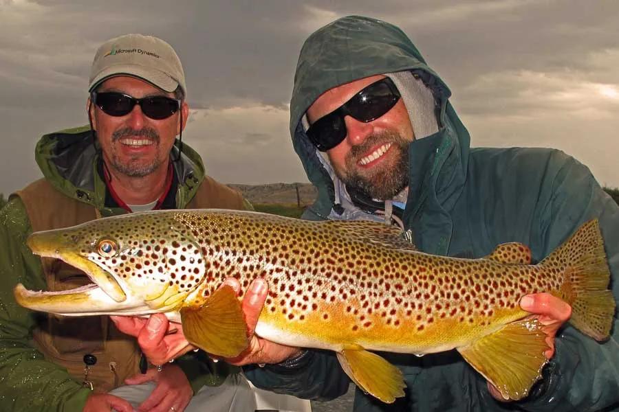 The fisherman holds the trout with a special fishing grip in the