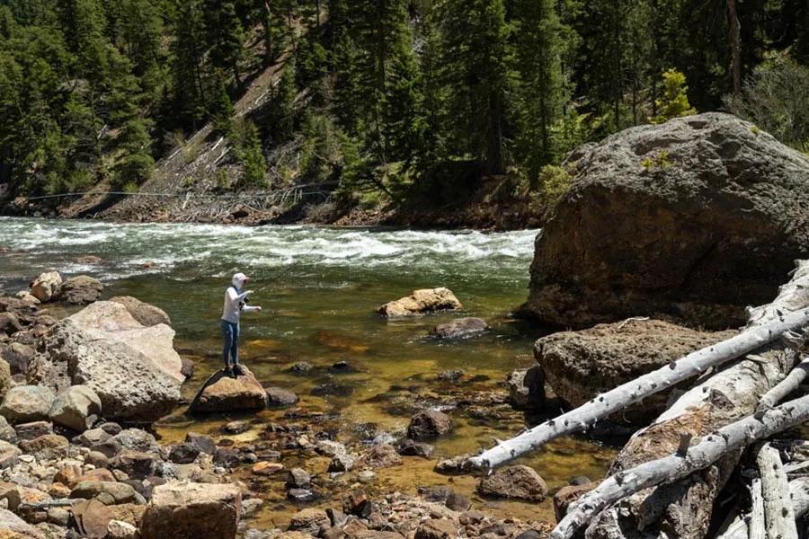 Yellowstone National Park has many beautiful and thrilling places to cast a fly.