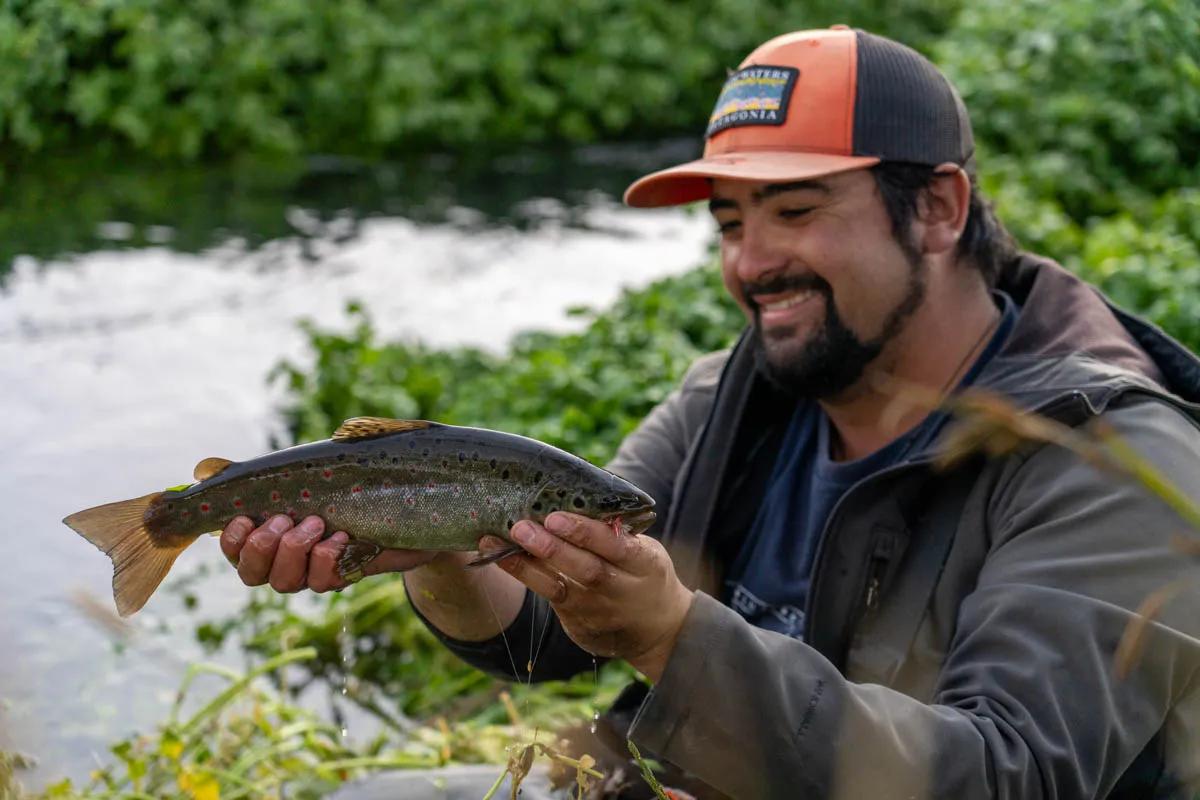 Ives with the save after this brown buried itself deep in the watercress.