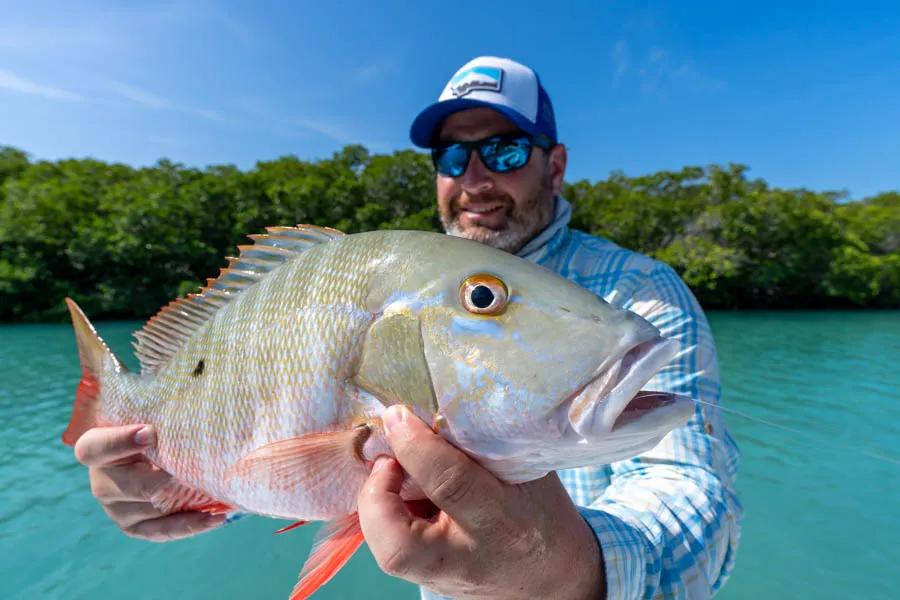 There were planty of big snapper lurking in the mangroves. We had a blast throwing on a weighted clouser and dropping flies to these delicious fish. Nearly every day of the trip someone in the group brought back a few snapper in the cooler for the chef to prepare at the evening meal.