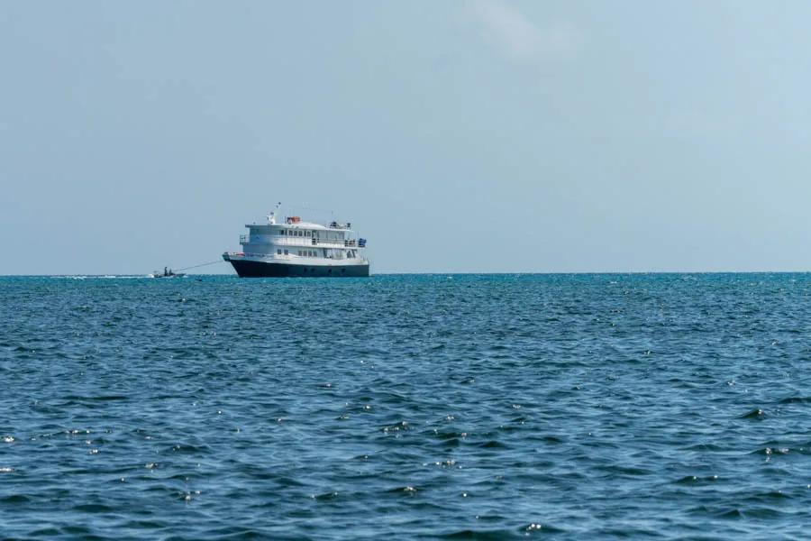 Avalon has several large yachts in their fleet. The Cayo Largo program uses a large three story boat with comfortable air conditione accommodations. Staying on board is basically equivelant to lving on a floating fly fishing lodge! The boat moves over the course of the trip to continuously target fresh waters.