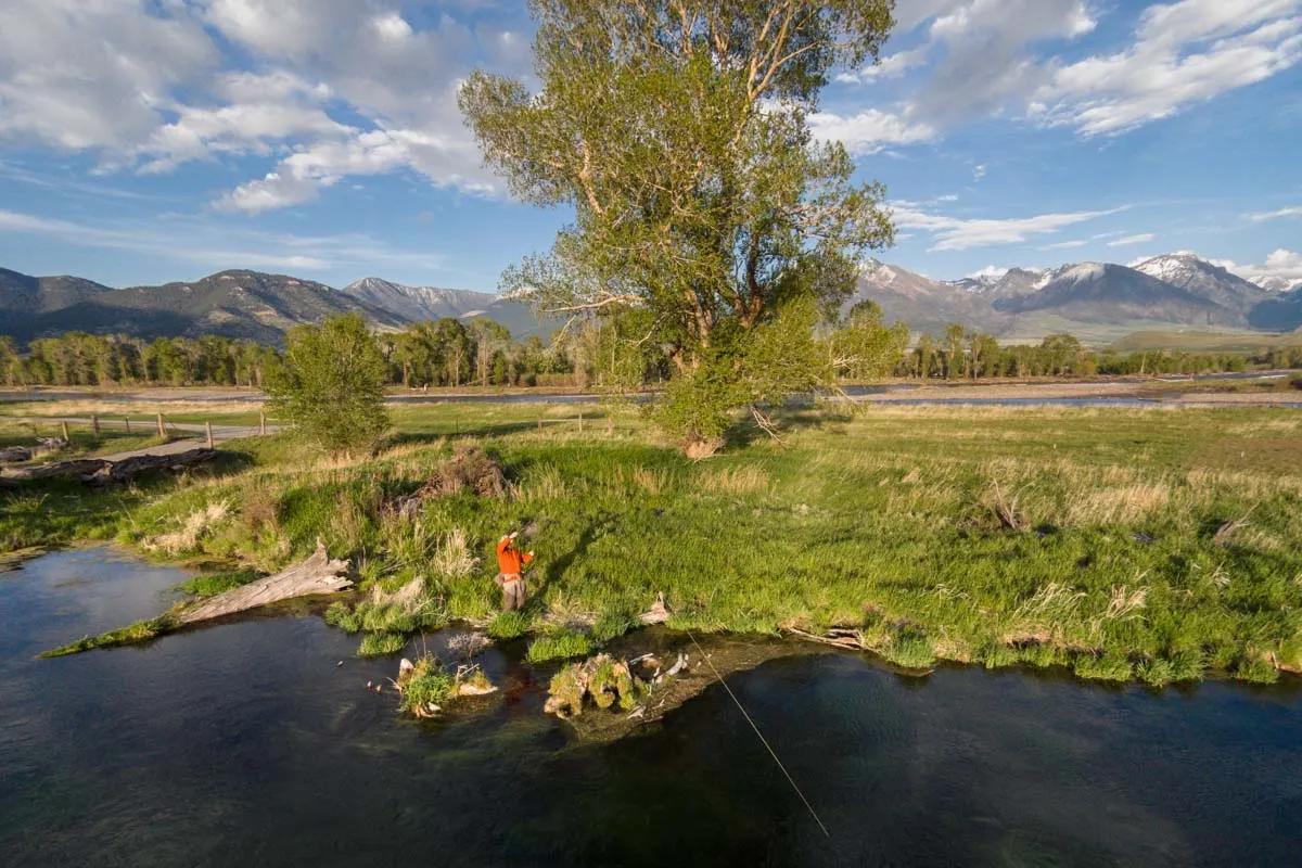 The Paradise Valley Spring Creeks offer beauty, challenge, and plenty of trout all within a half hour of downtown Bozeman