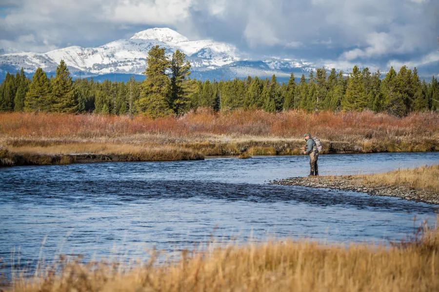 The Madison River in the fall is a local favorite.