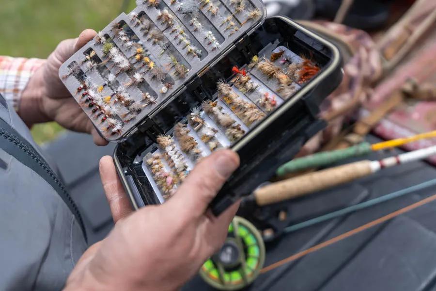 Matching a hatch of Blue-Winged Olives requires a thorough fly selection of nymphs, emergers, and dry flies.