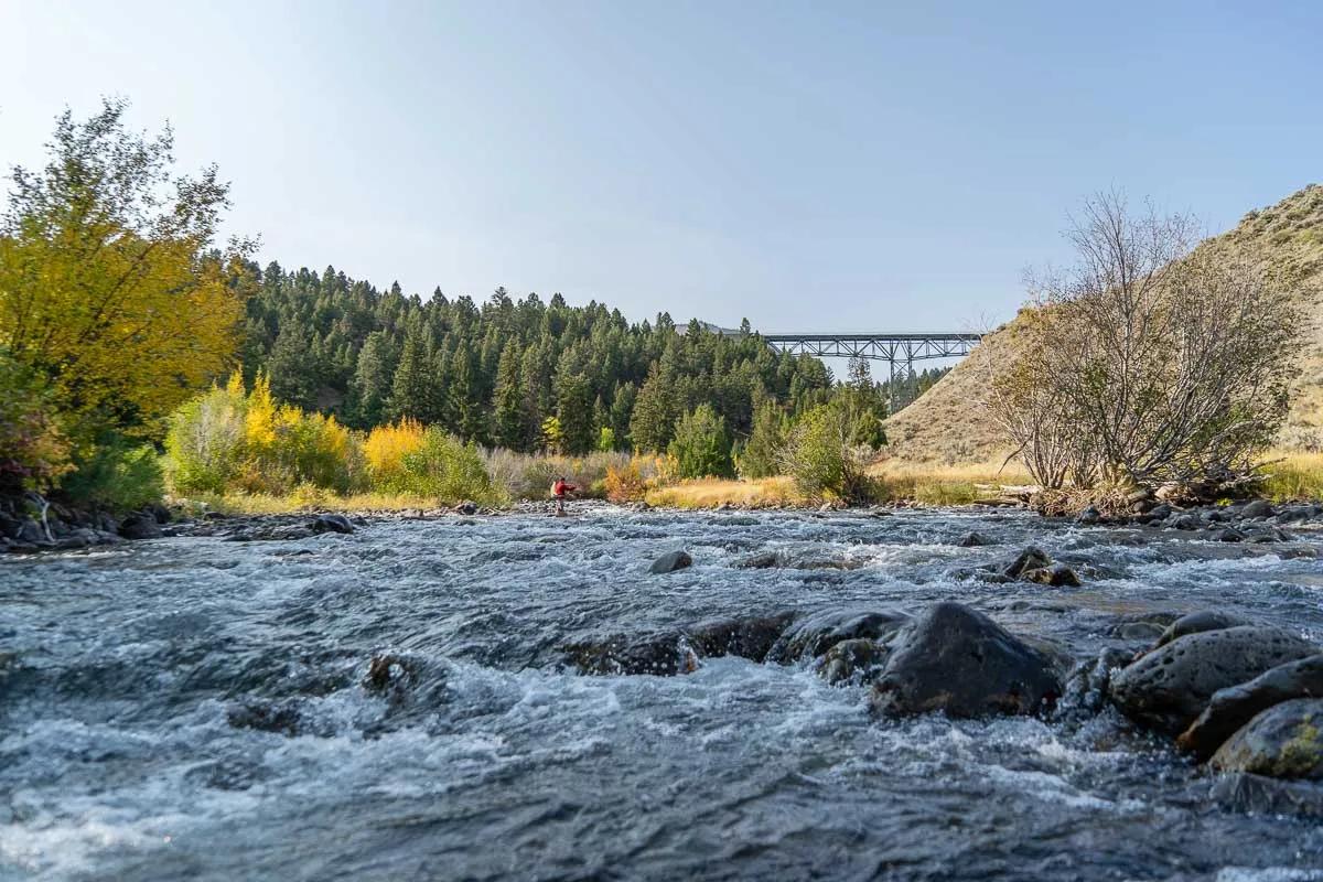 When fly fishing with streamers the more water that you can cover the more likely you are to catch fish. 