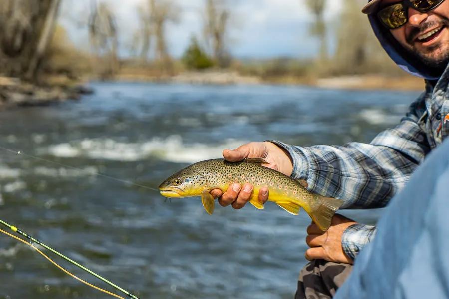 Choosing the correct leader material and adding weight to your leader or tippet can mean the difference between smiles or head-scratches.