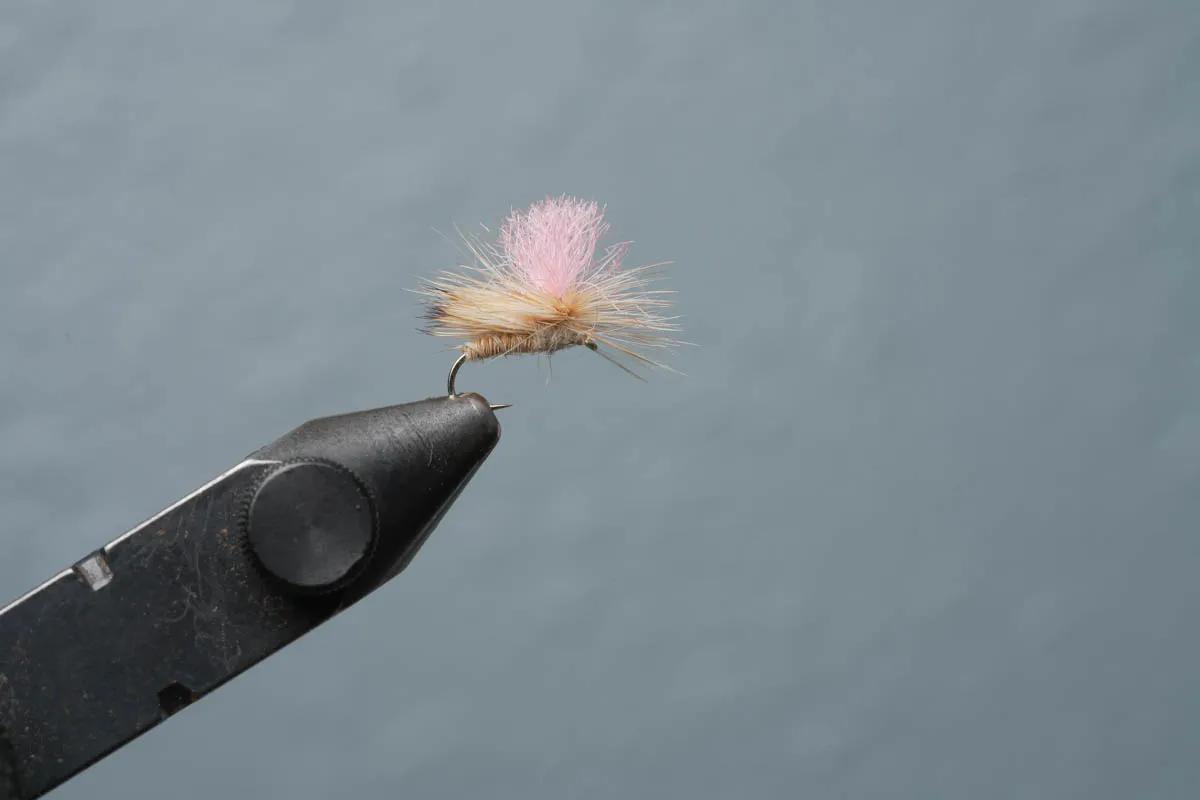 Fly fishing with flies for big trout. Caddis inhabit nearly every body of water that trout swim in. Having a Bloom's Hi-Vis caddis will help you catch more fish.