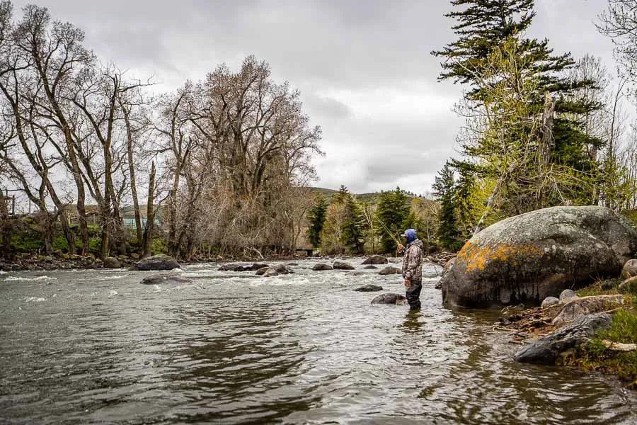 Spring season fly fishing is here. From smaller freestones to larger tailwaters, there is going to be some consistent fishing somewhere in Montana. 