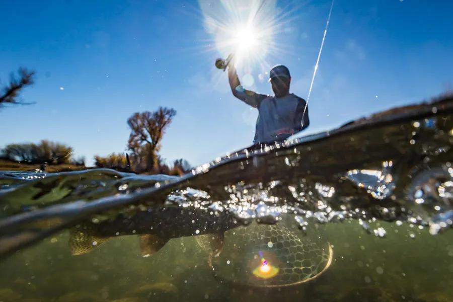 Montana fly fishing trips on the Yellowstone River and near Bozeman