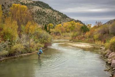 Montana Fishing Reports