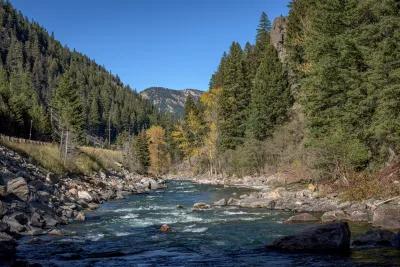 Small stream fly fishing 