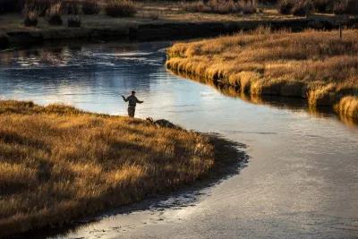 Spring creek fly fishing in the fall can be rewarding.