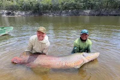 Fly fishing for arapaima in the Amazon Fly fishing for arapaima in the Amazon