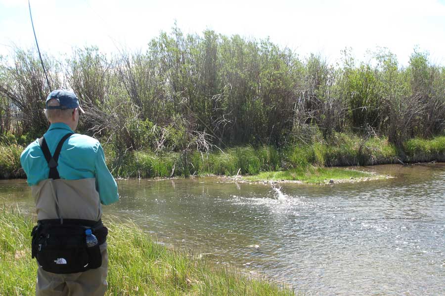 East Gallatin River Fly-Fishing Trips