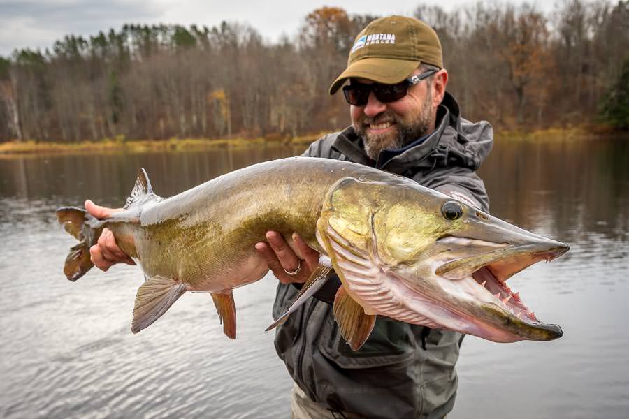 All-Inclusive Muskie Fishing Trips - Green Bay Outfitters Fishing Charter  and Guide Services