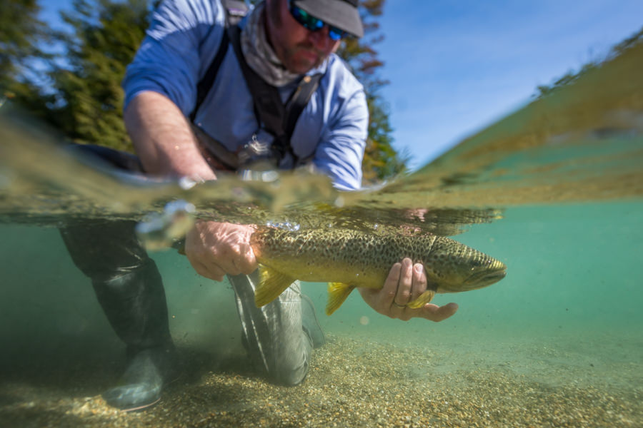 Fly Fishing Cutthroat Trout in Northern Idaho, $35 Fly Rod Review