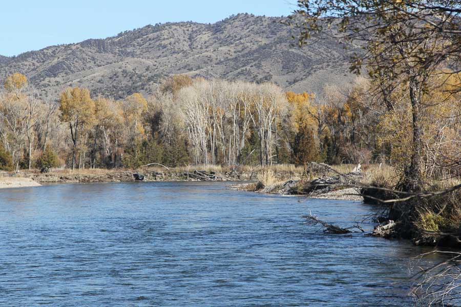 Jefferson River Fly Fishing | Montana Angler Fly Fishing