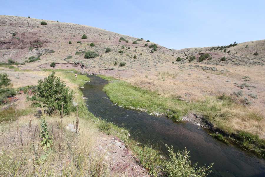 Montana Small Stream Fly-Fishing Guide